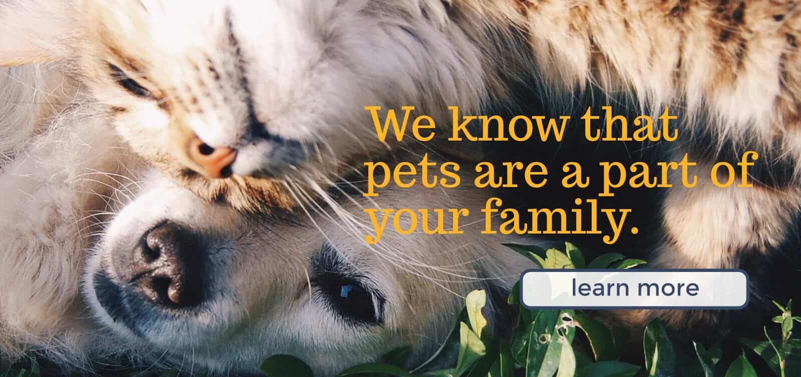 Sandhills Veterinary Treats you like Family.