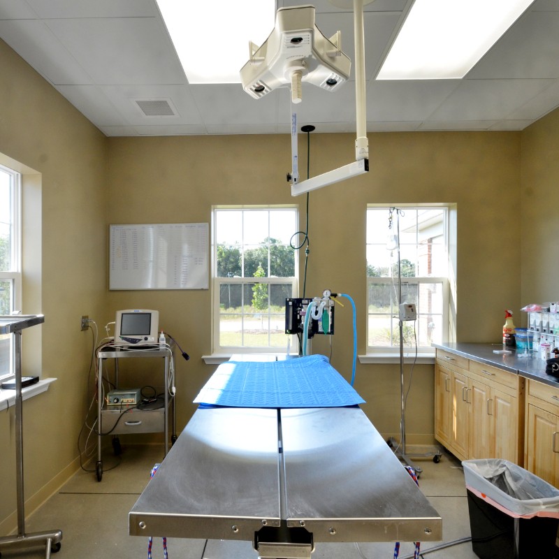 empty veterinary operating room